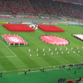 team flags